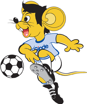 静息心电图 静息心电图